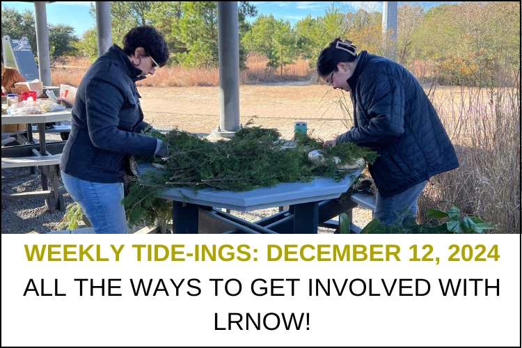 December 12 Weekly Tideings Newsletter